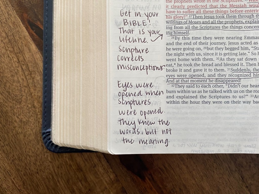 Weekend Wellness | No.&nbsp;28